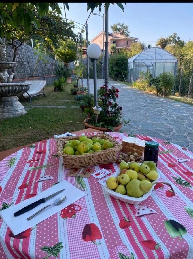B&B Girasole Torraca Экстерьер фото